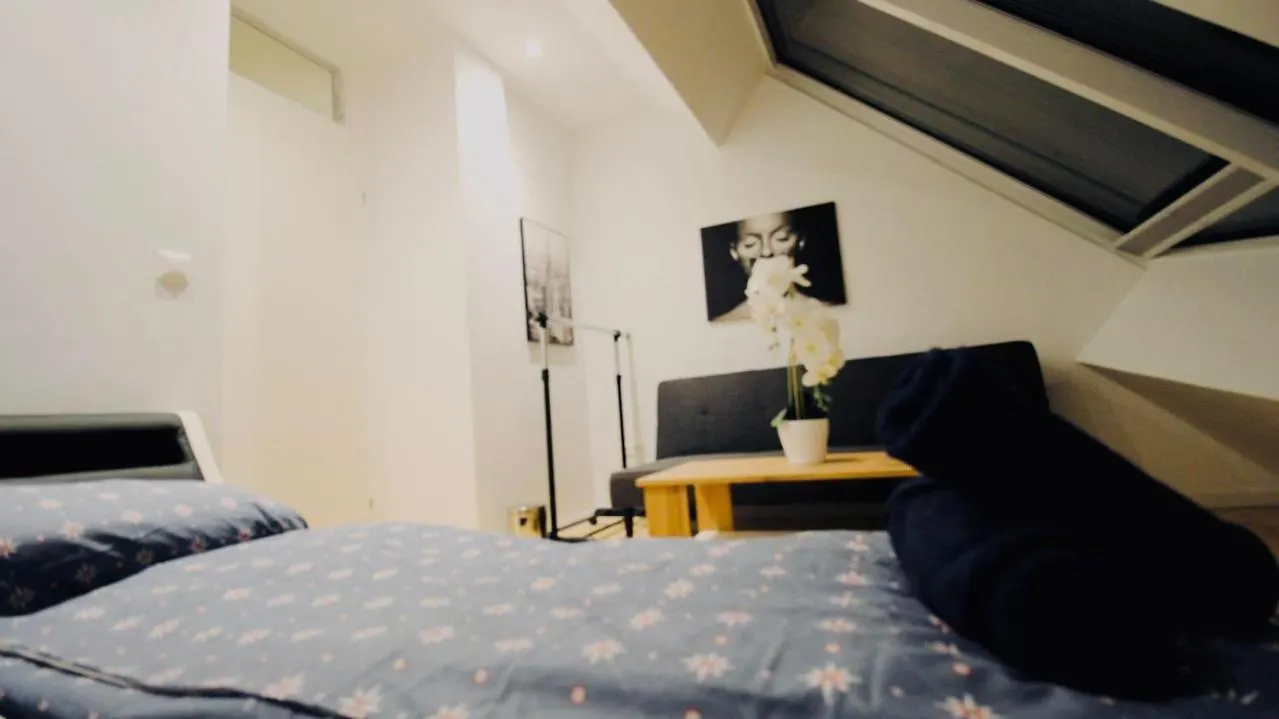 Auberge de jeunesse 6 Min To Amusement Park - Economy Rooms In Shared Apartment Vienne Autriche